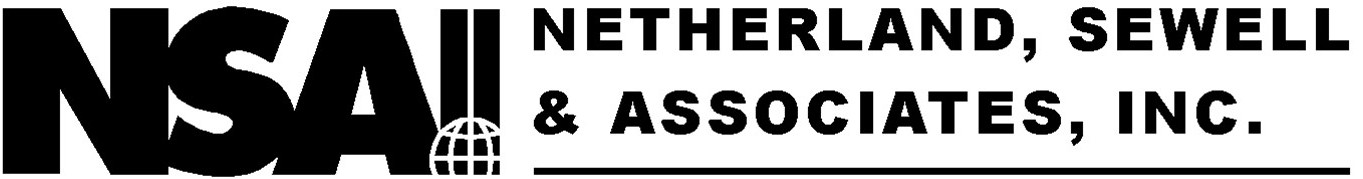 nsaiheadergraphicii1.jpg