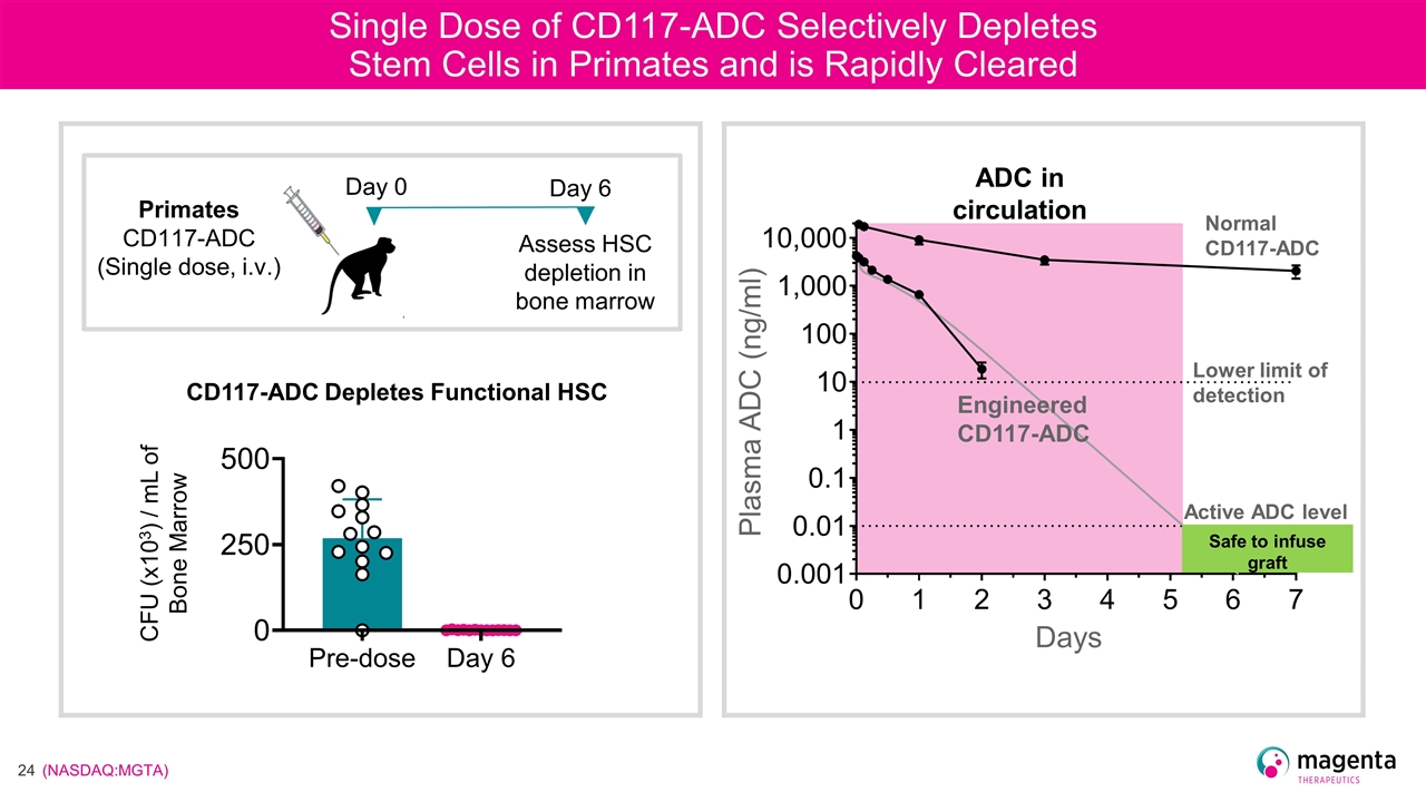 Slide 24