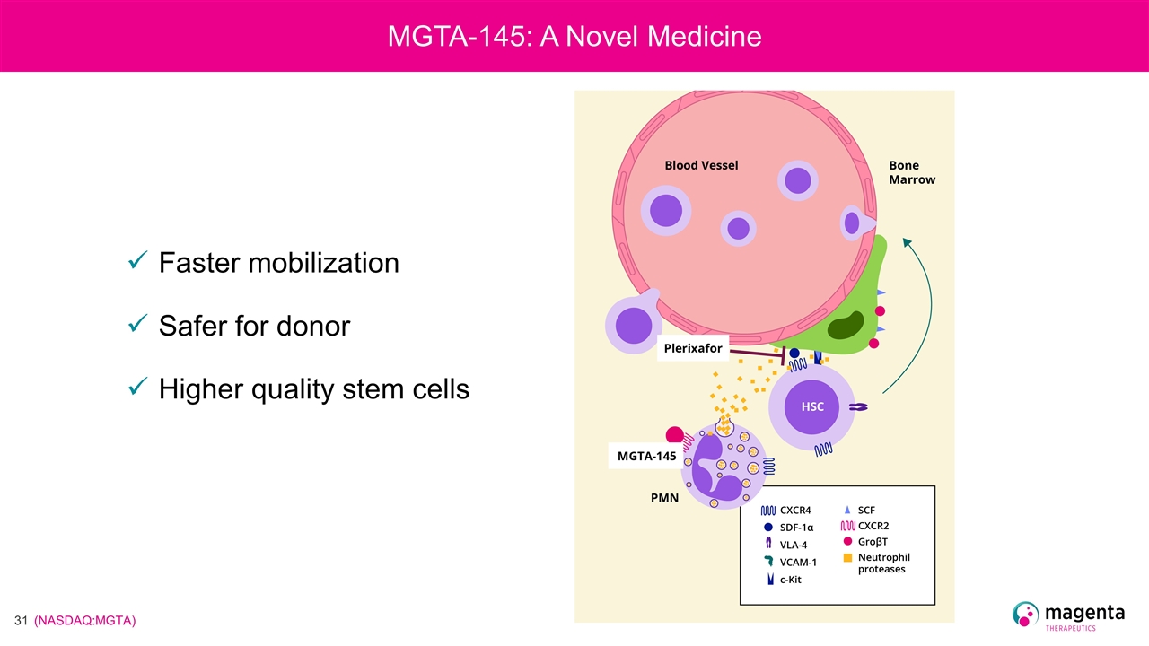 Slide 31