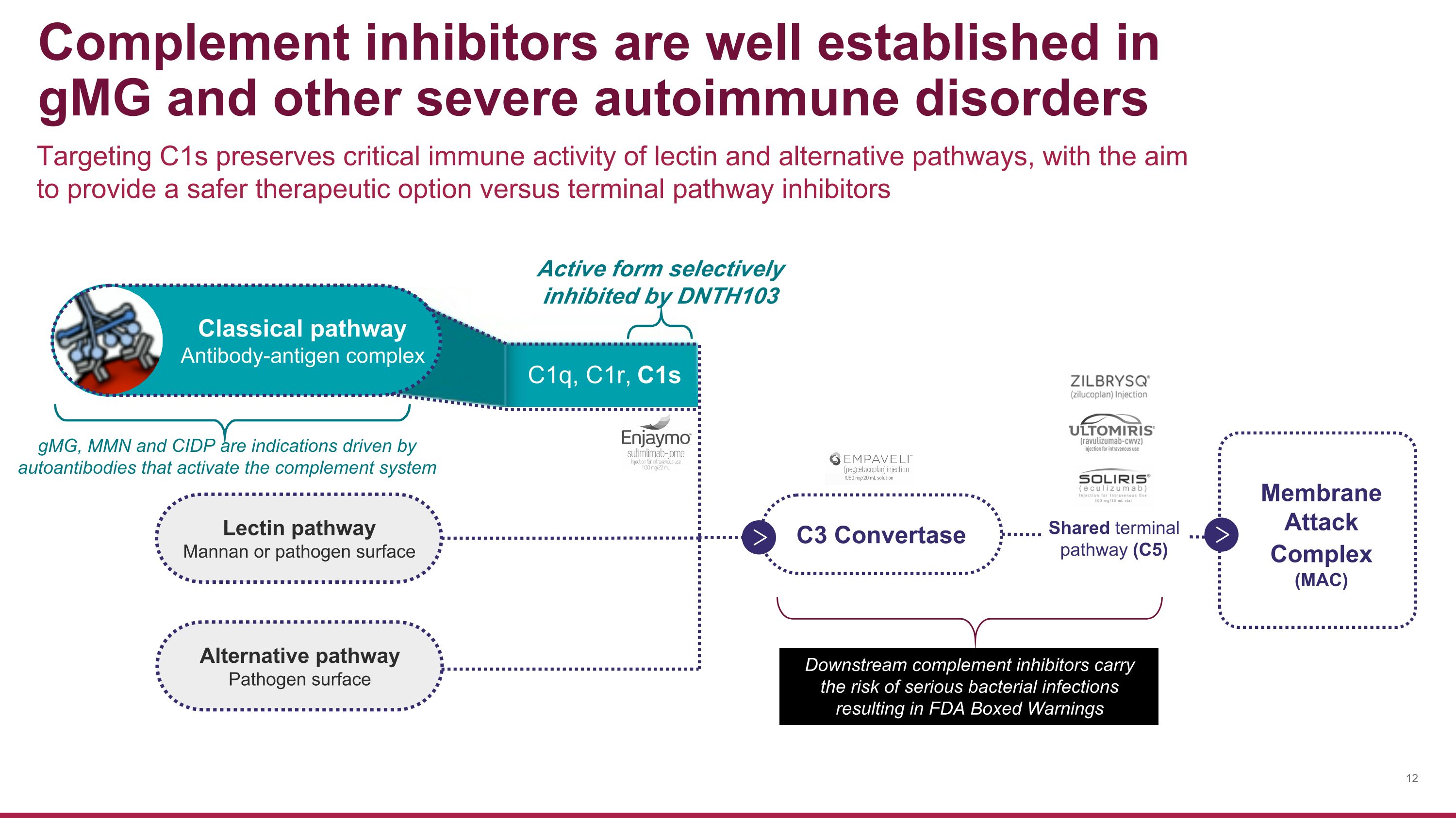 Slide 12