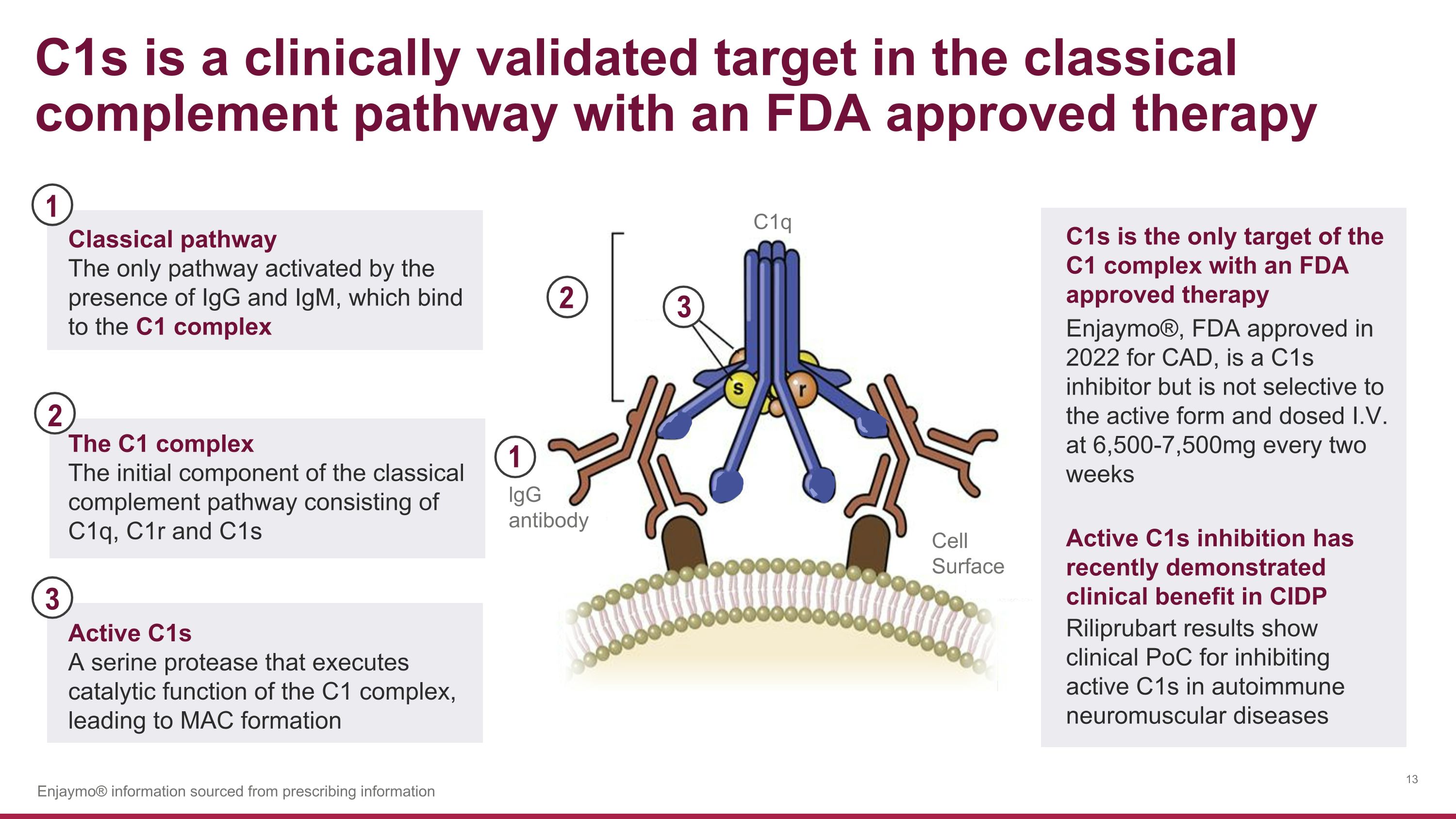 Slide 13