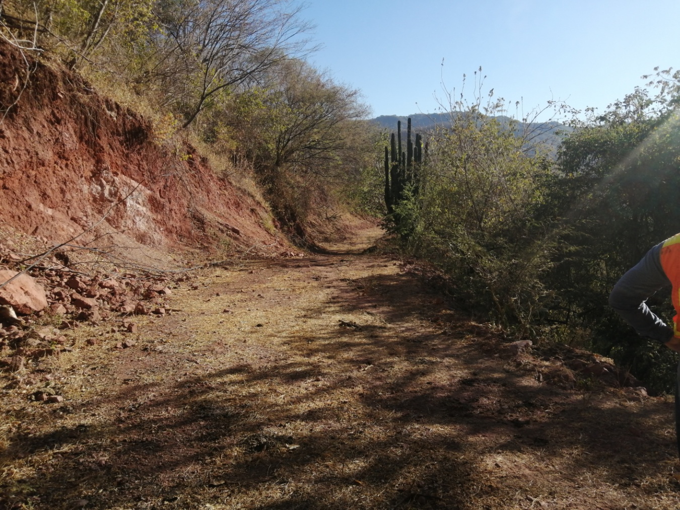 img259973804_8.jpg