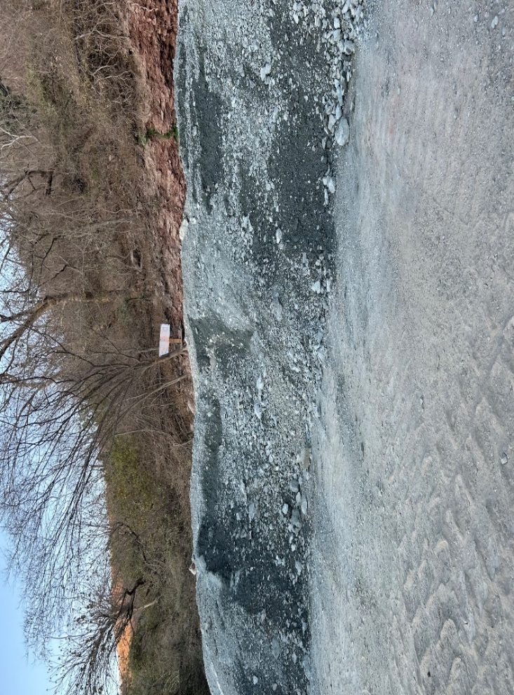img259973804_116.jpg