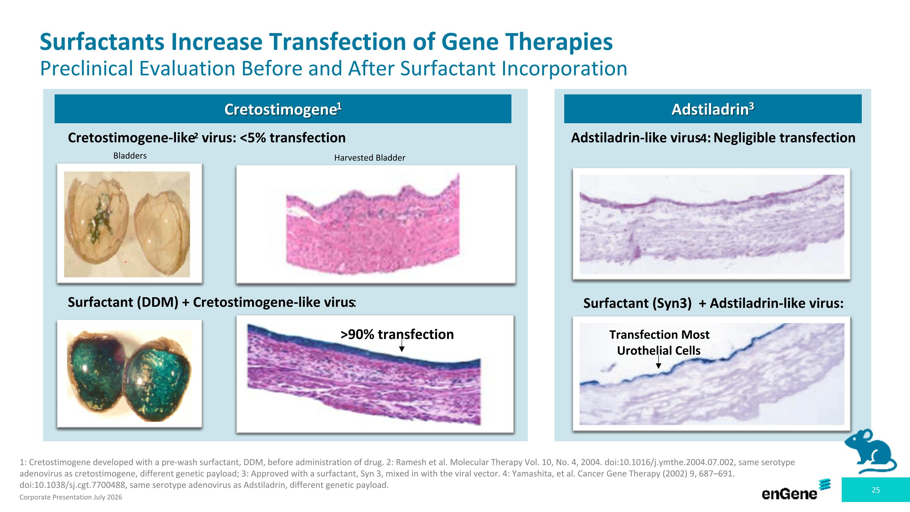 Slide 25