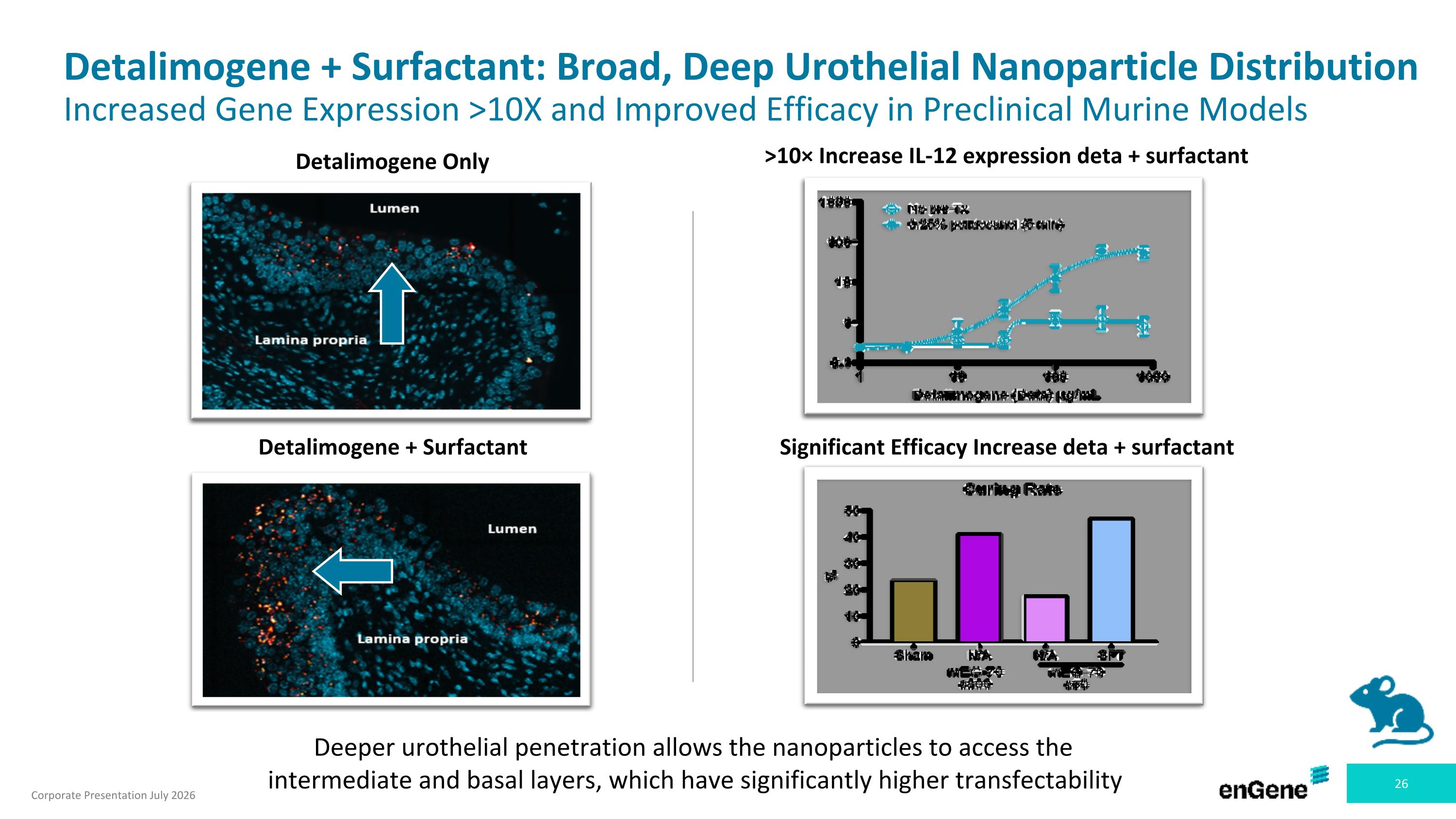 Slide 26