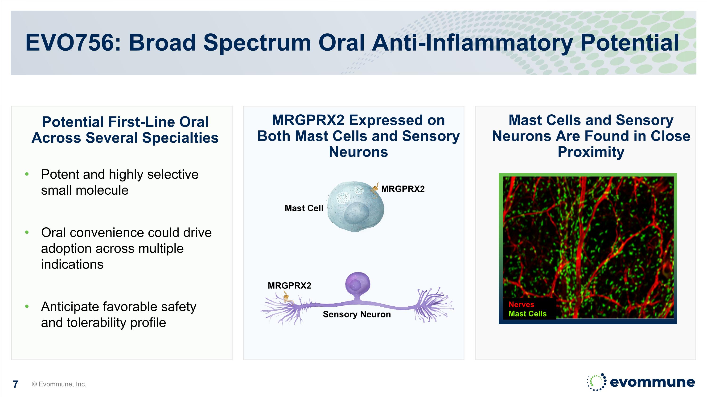 Slide 7
