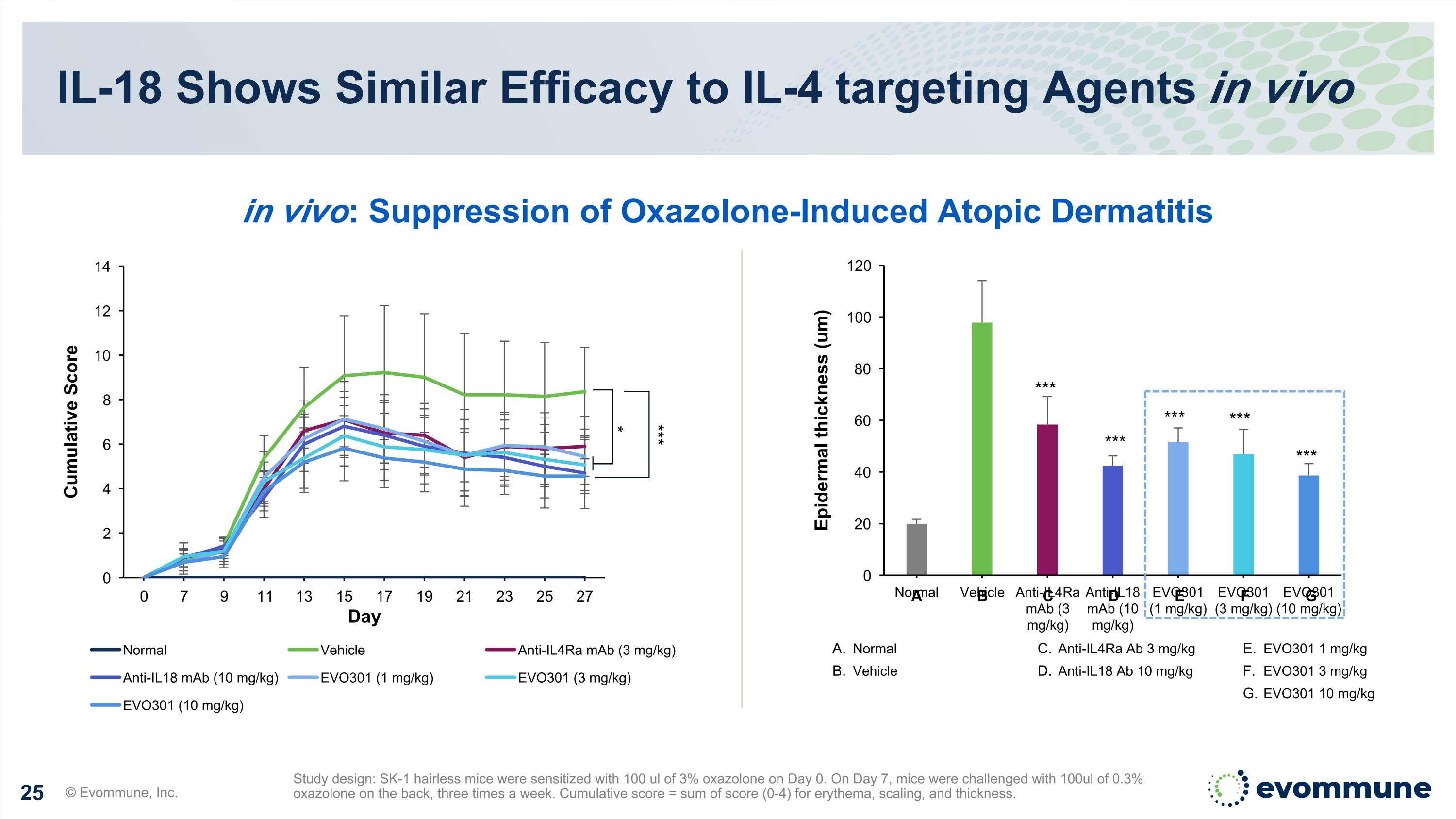 Slide 25