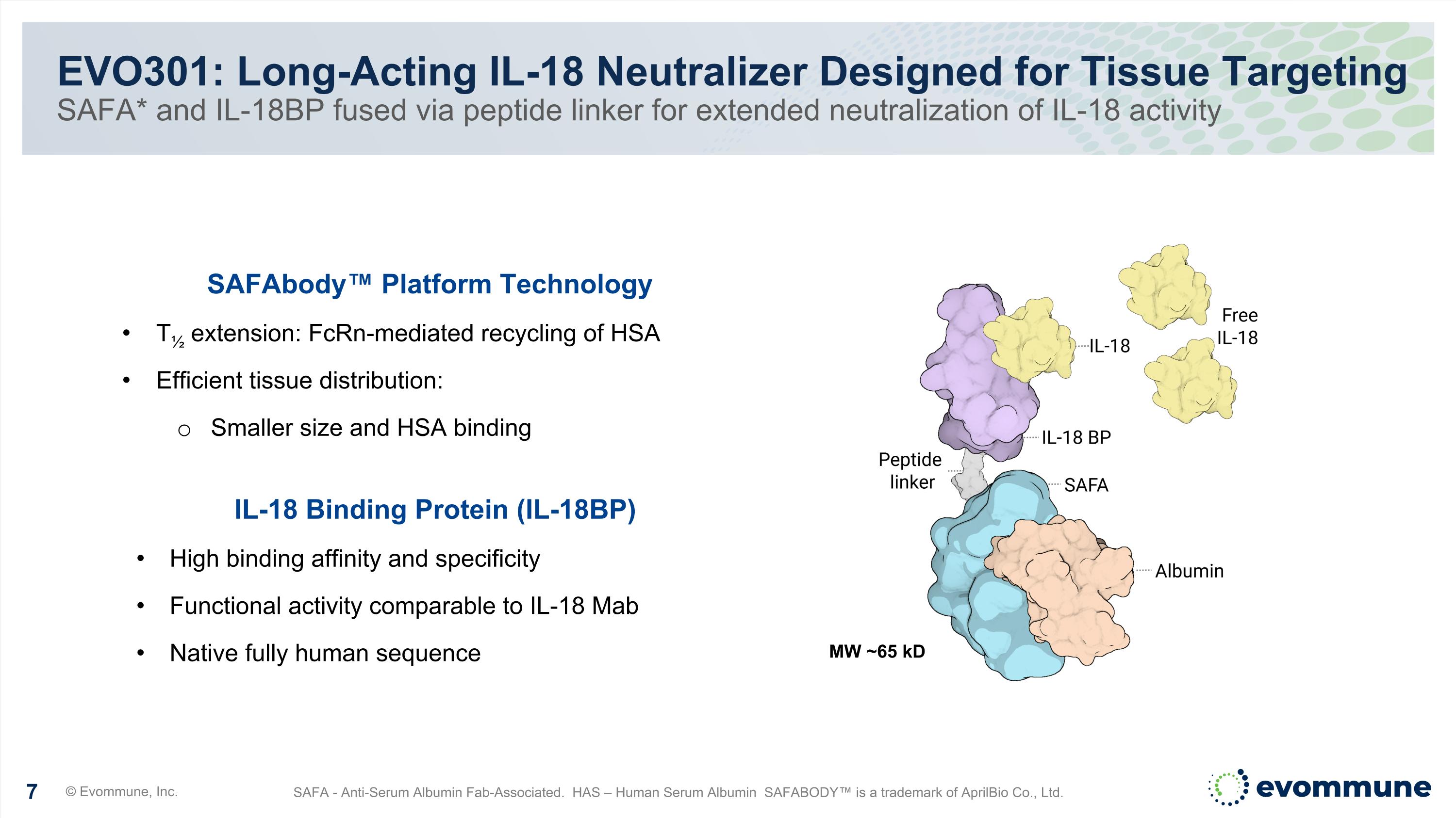 Slide 7