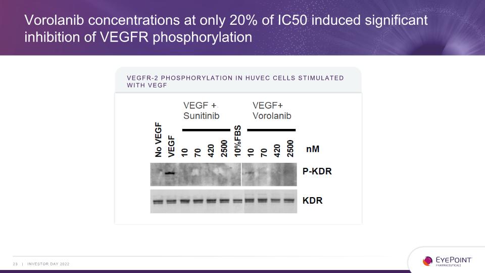 Slide 23