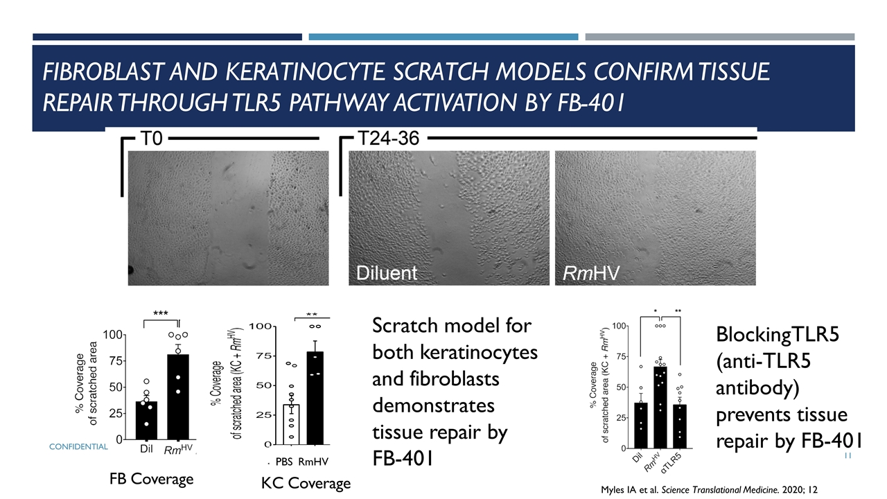 Slide 11