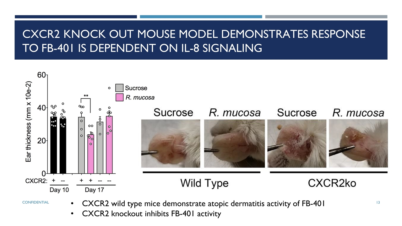 Slide 13