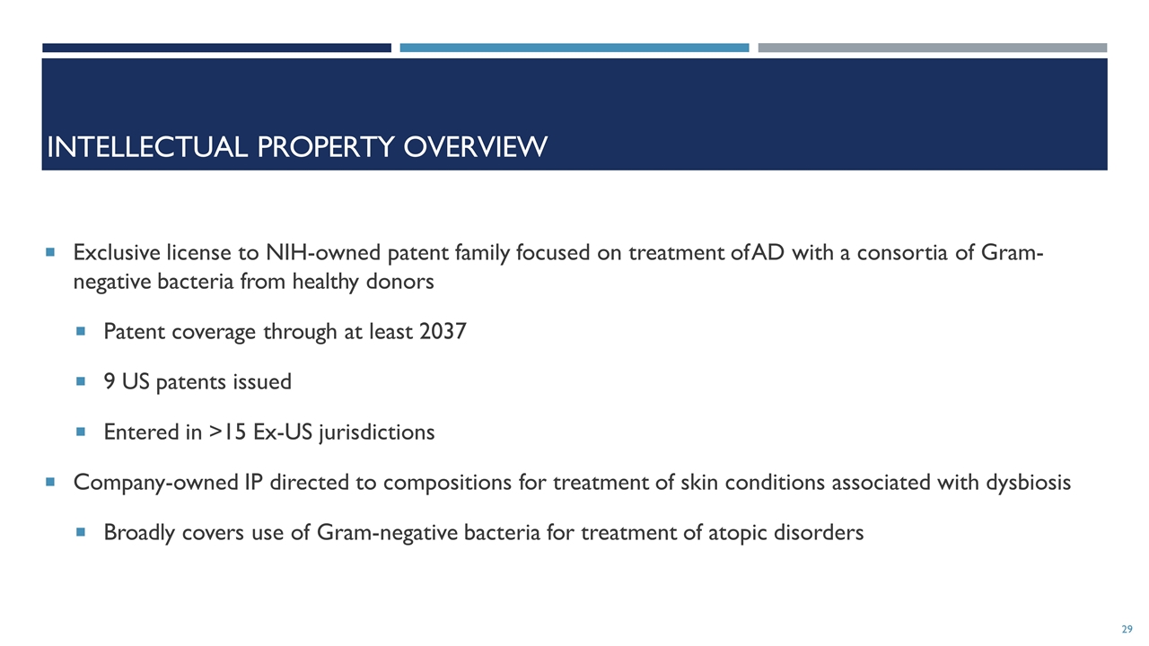 Slide 29