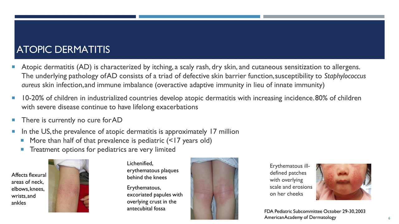 Slide 6