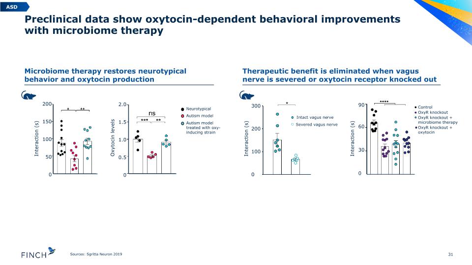 Slide 31