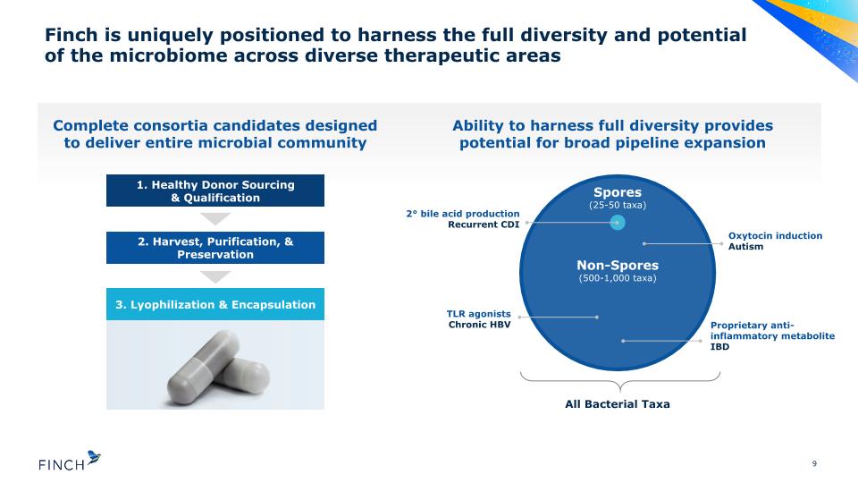 Slide 9