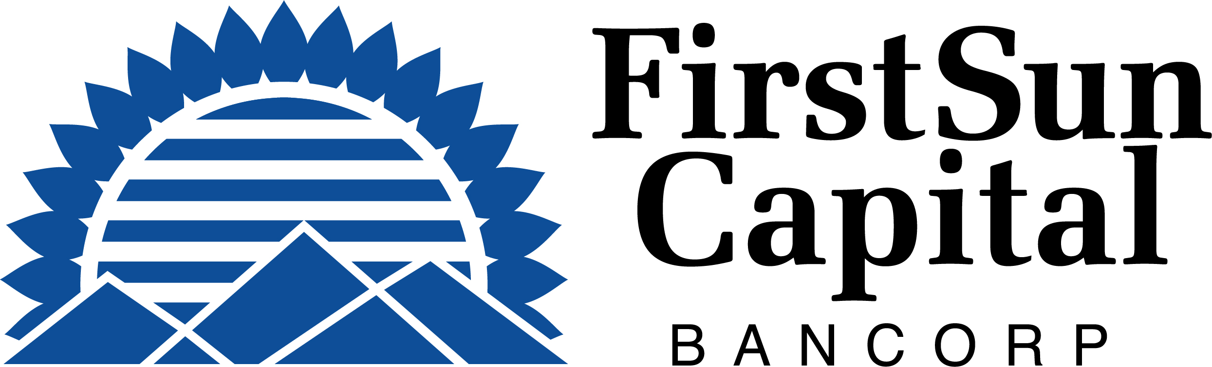 fscb-horizontallogoxcolor.jpg