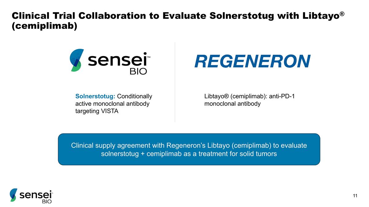Slide 11