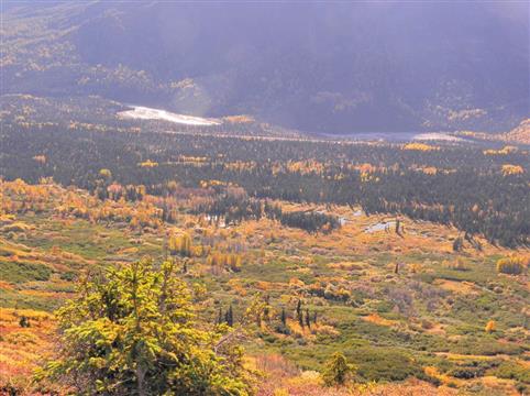w032.jpg