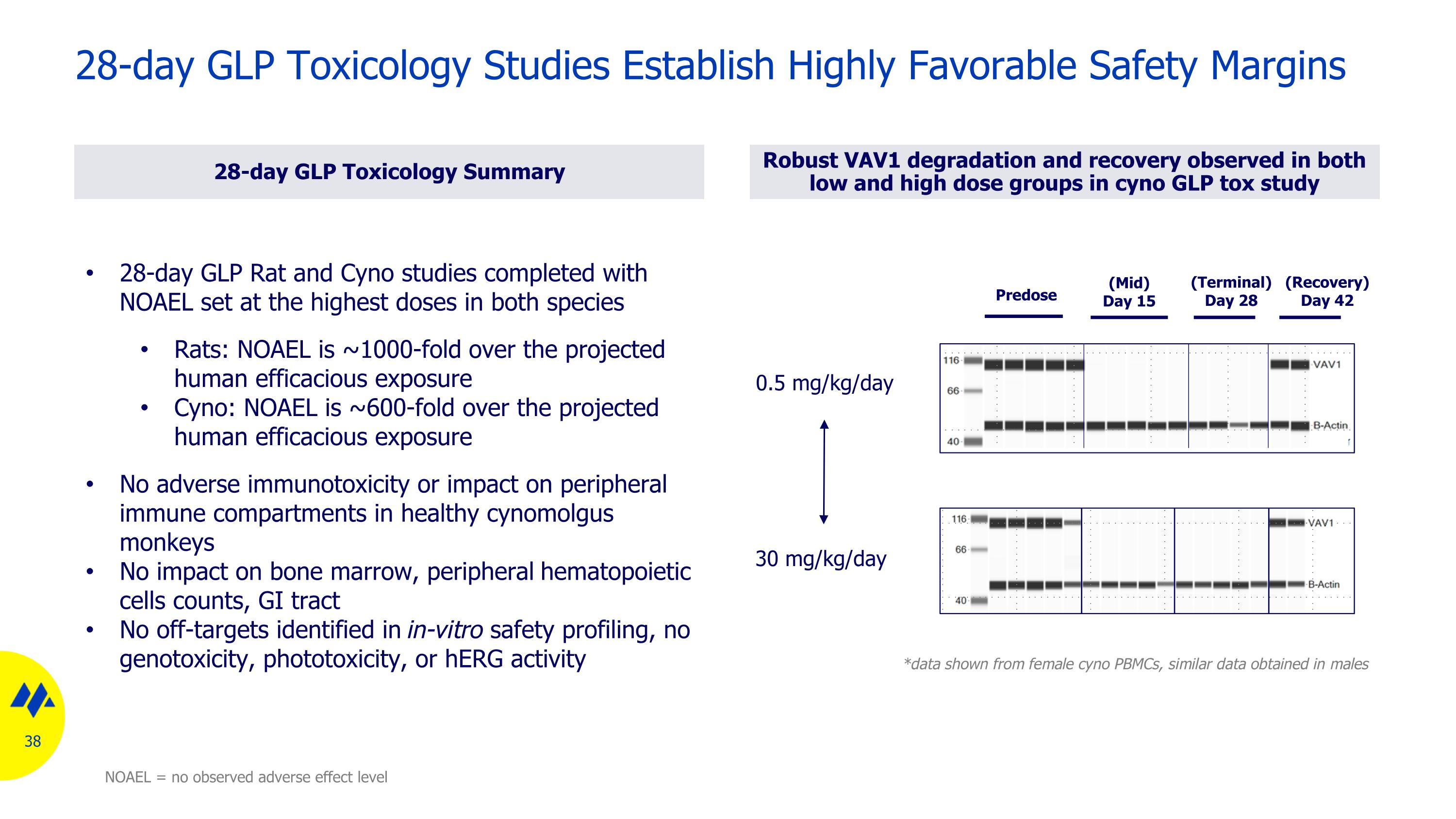 Slide 38