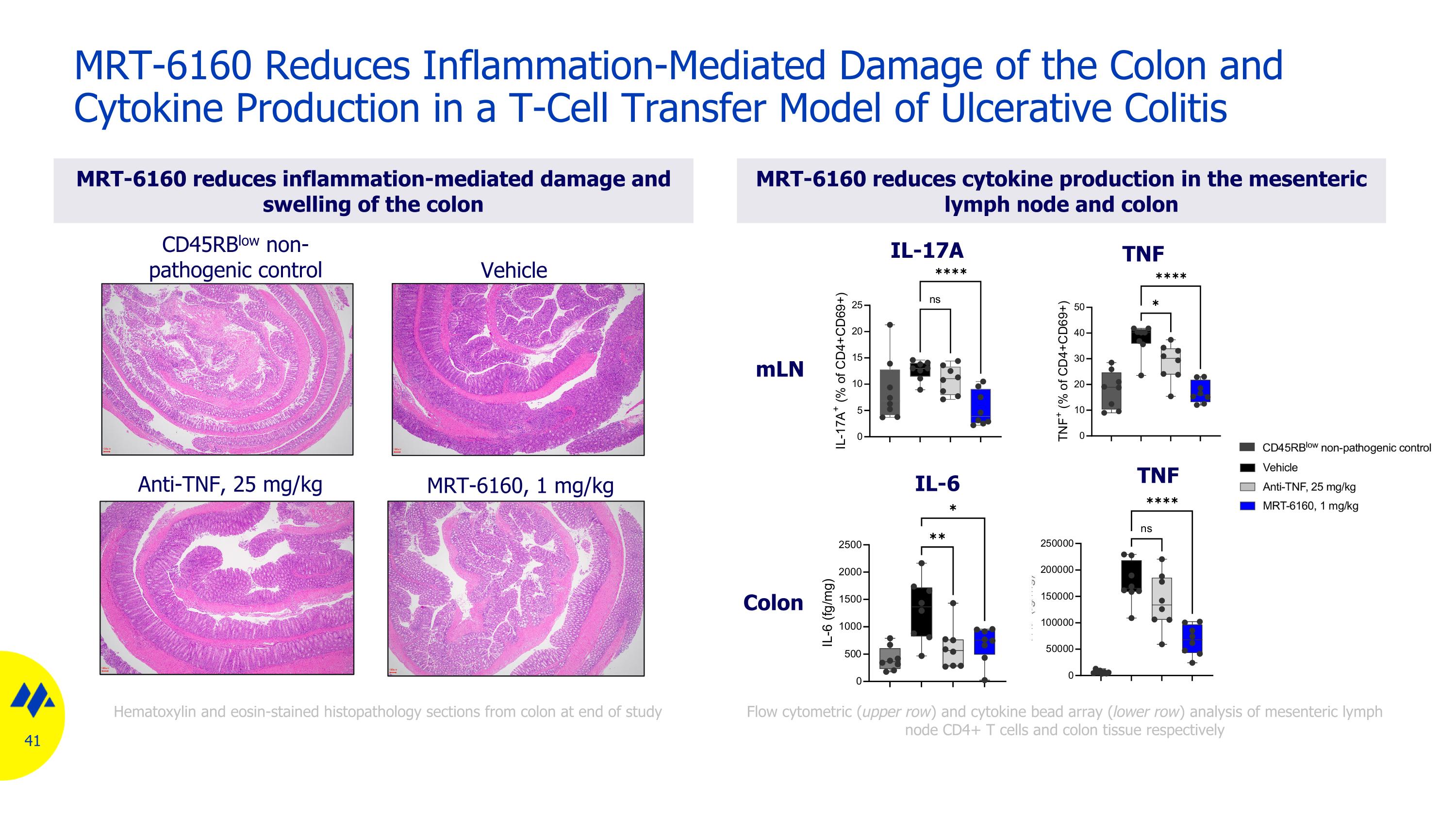 Slide 41