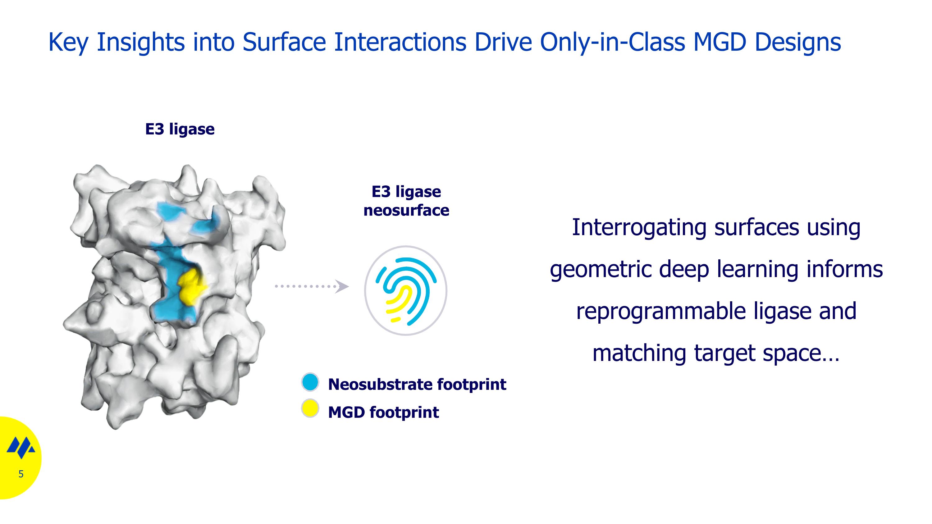 Slide 5