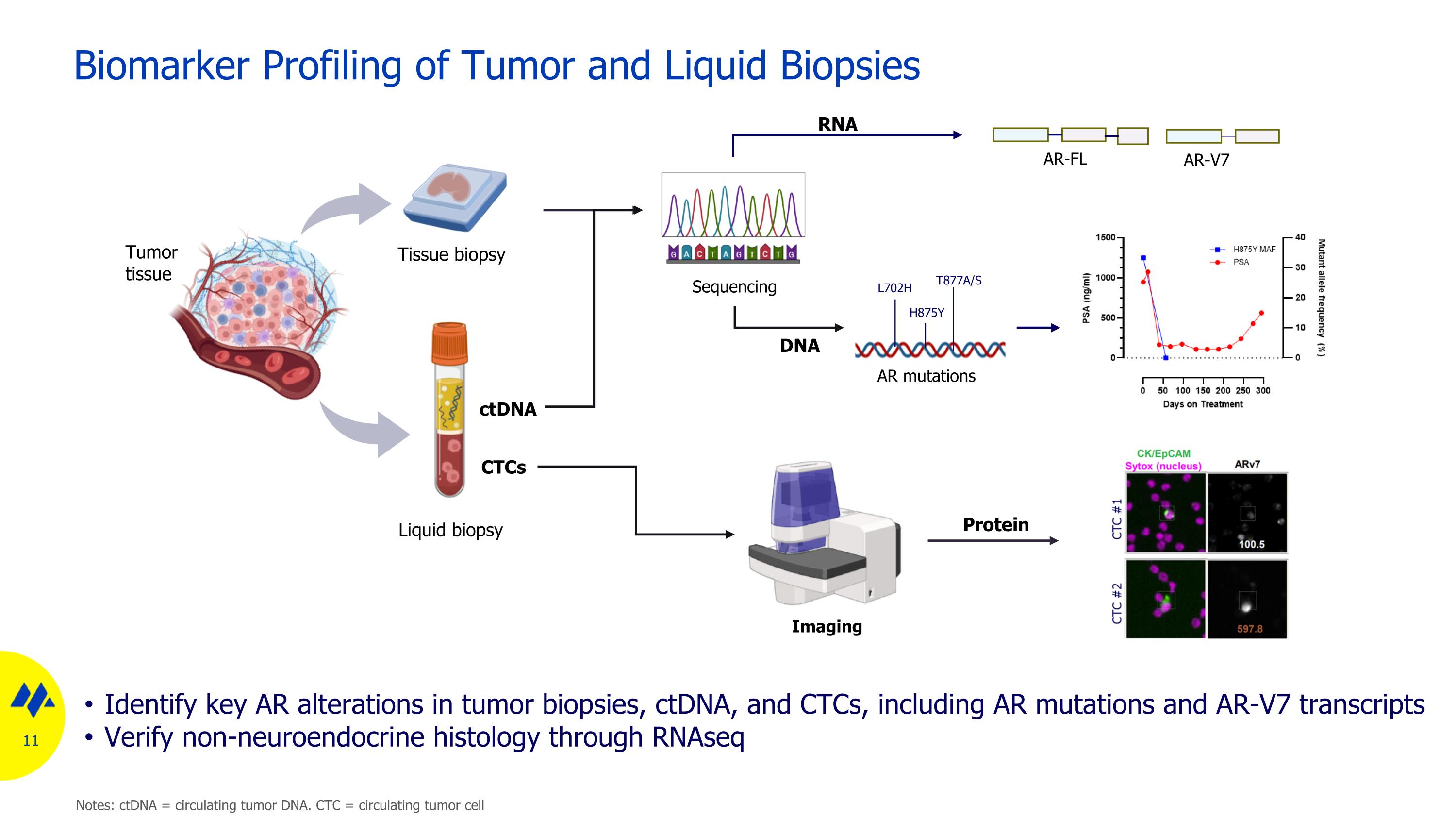 Slide 11