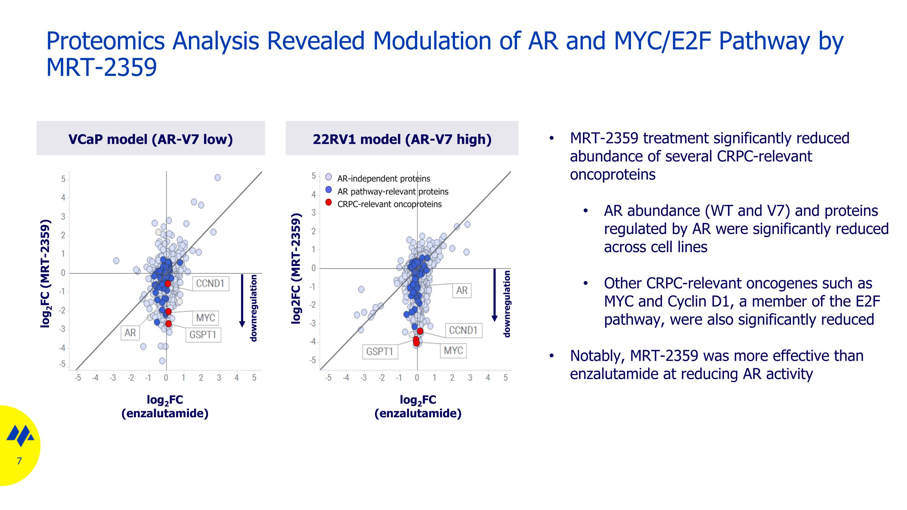Slide 7
