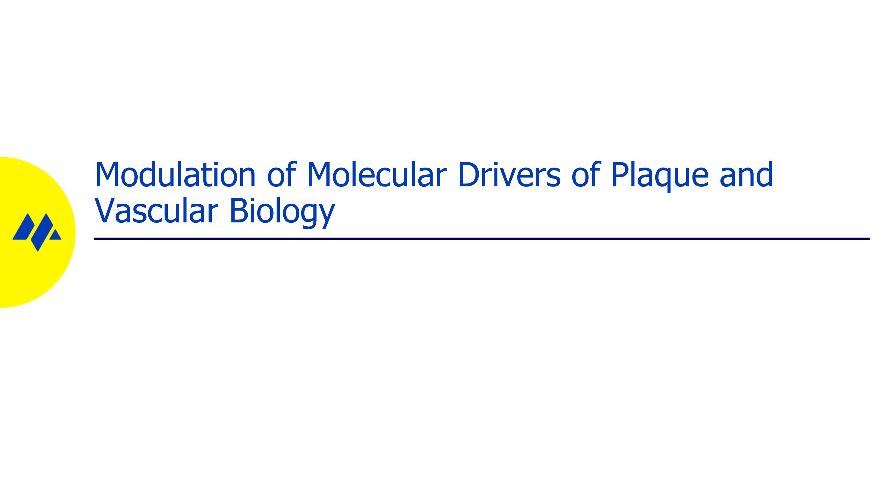 Slide 23