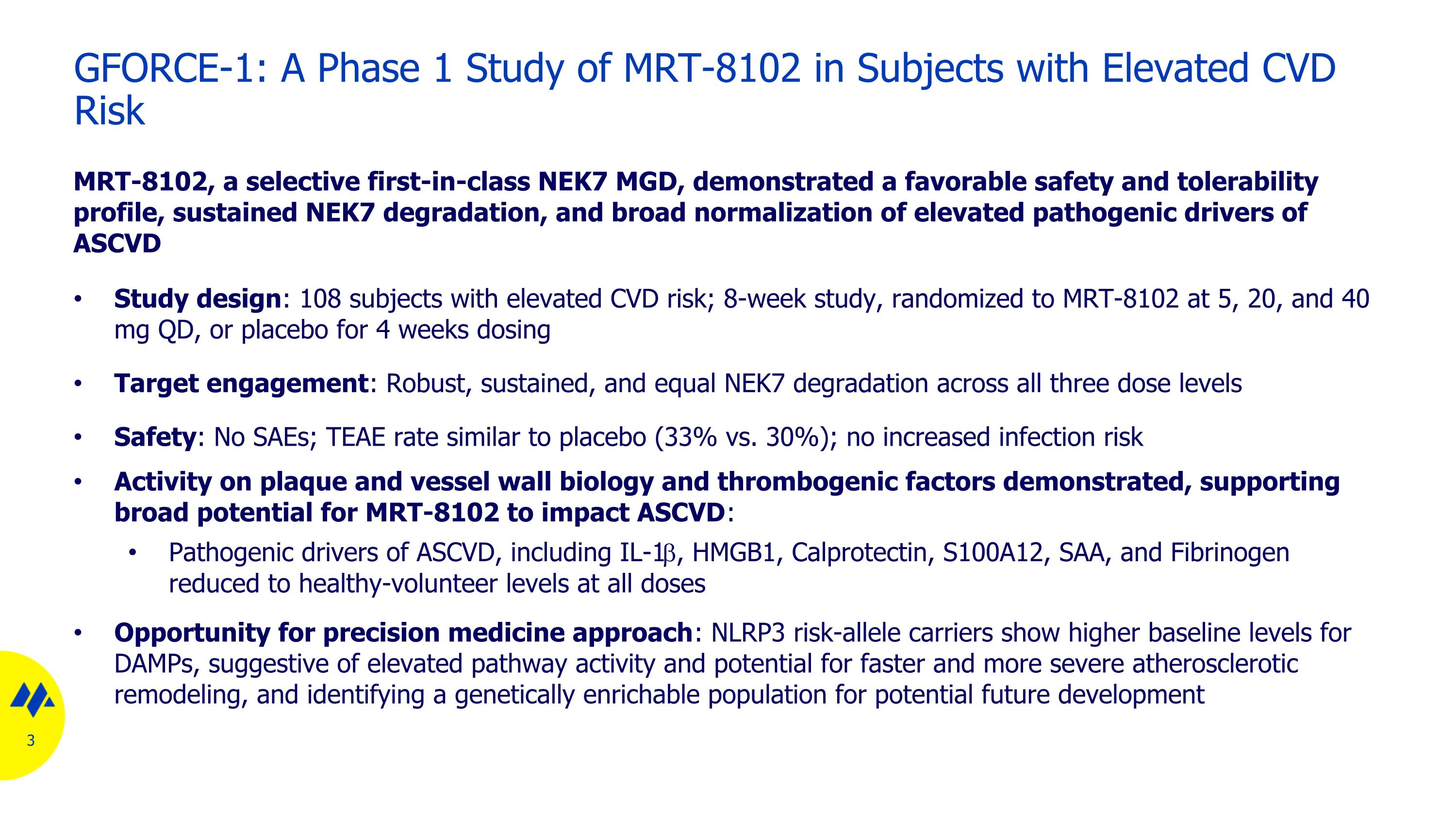 Slide 3