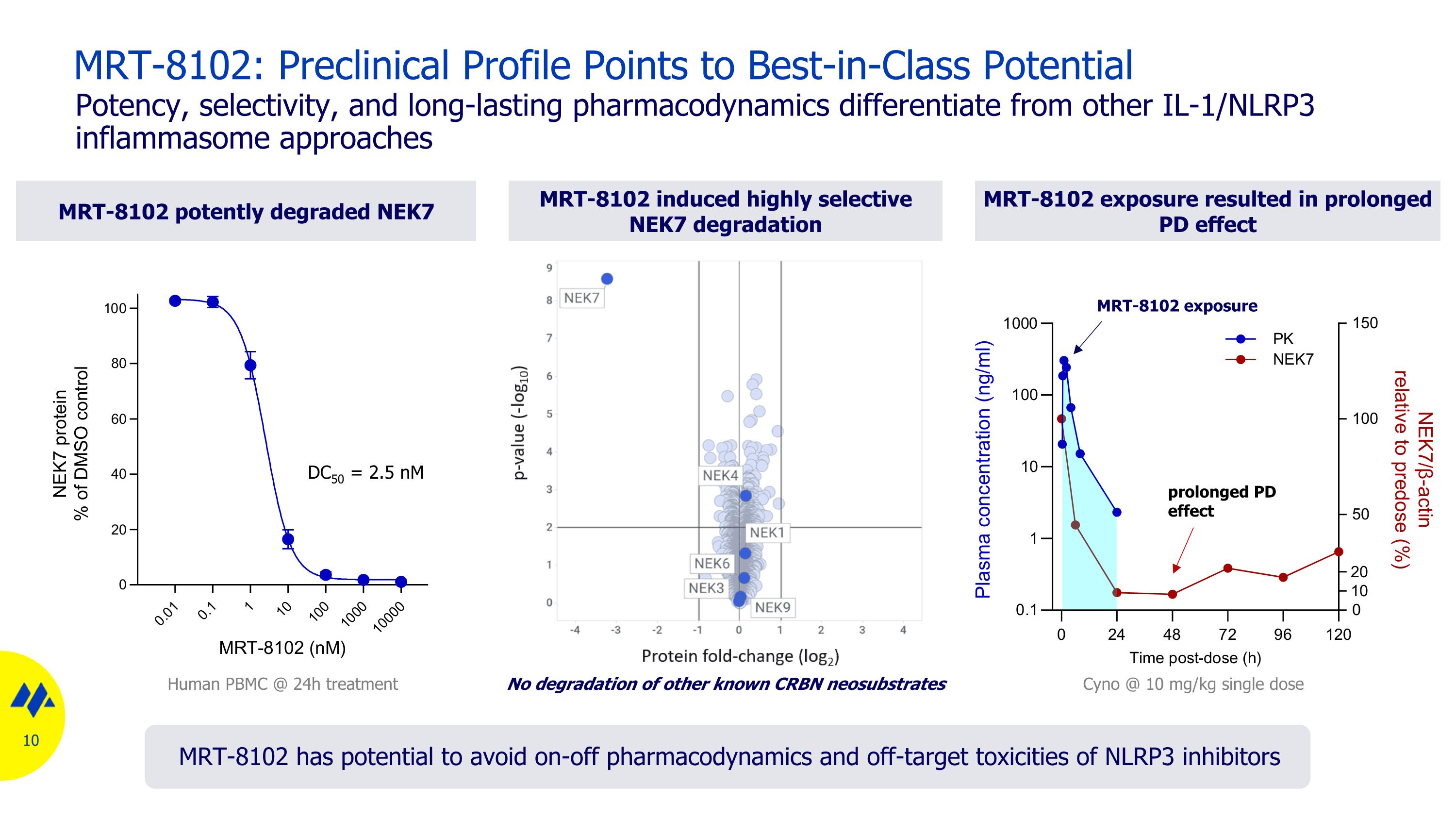 Slide 10