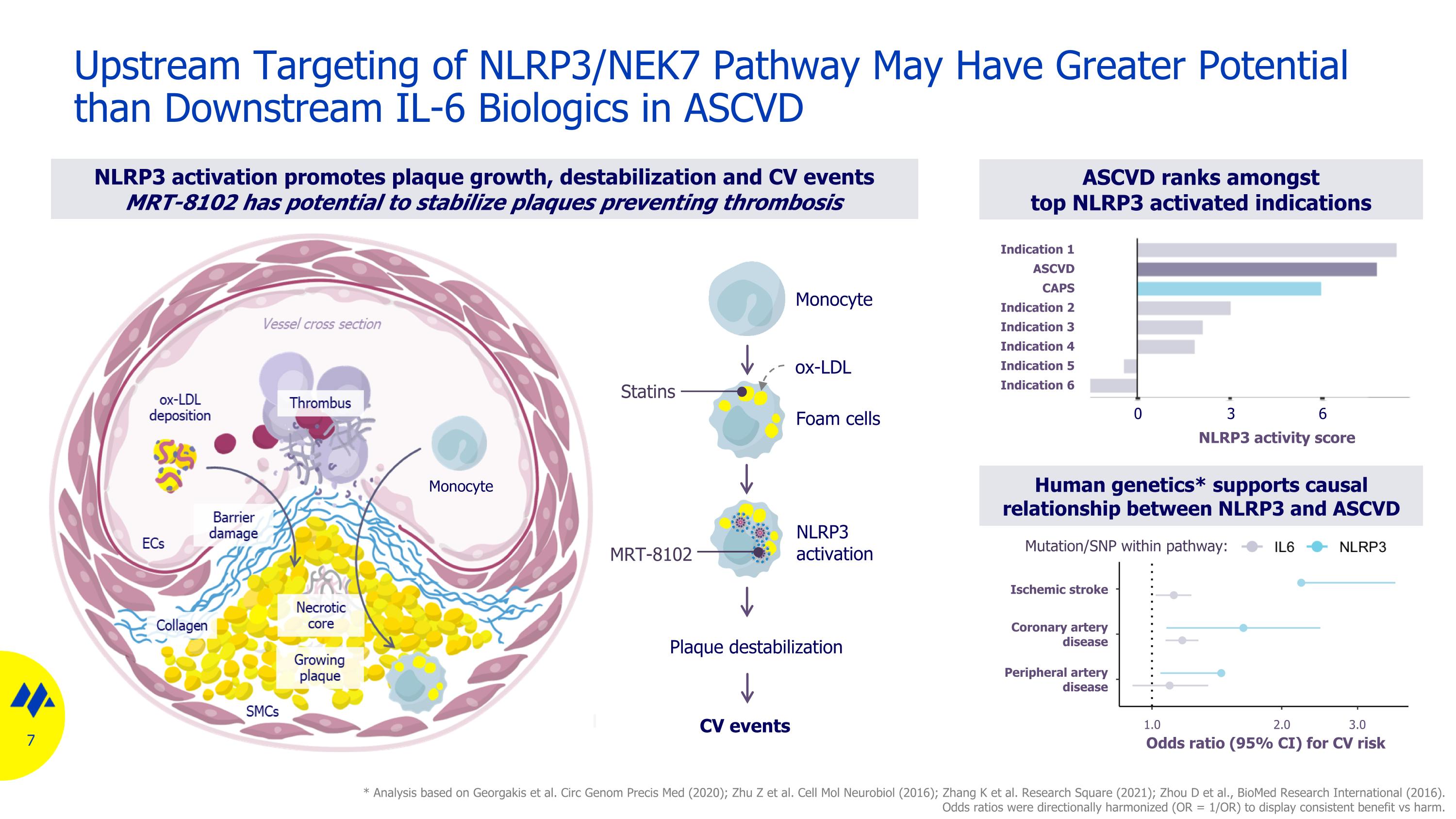 Slide 7