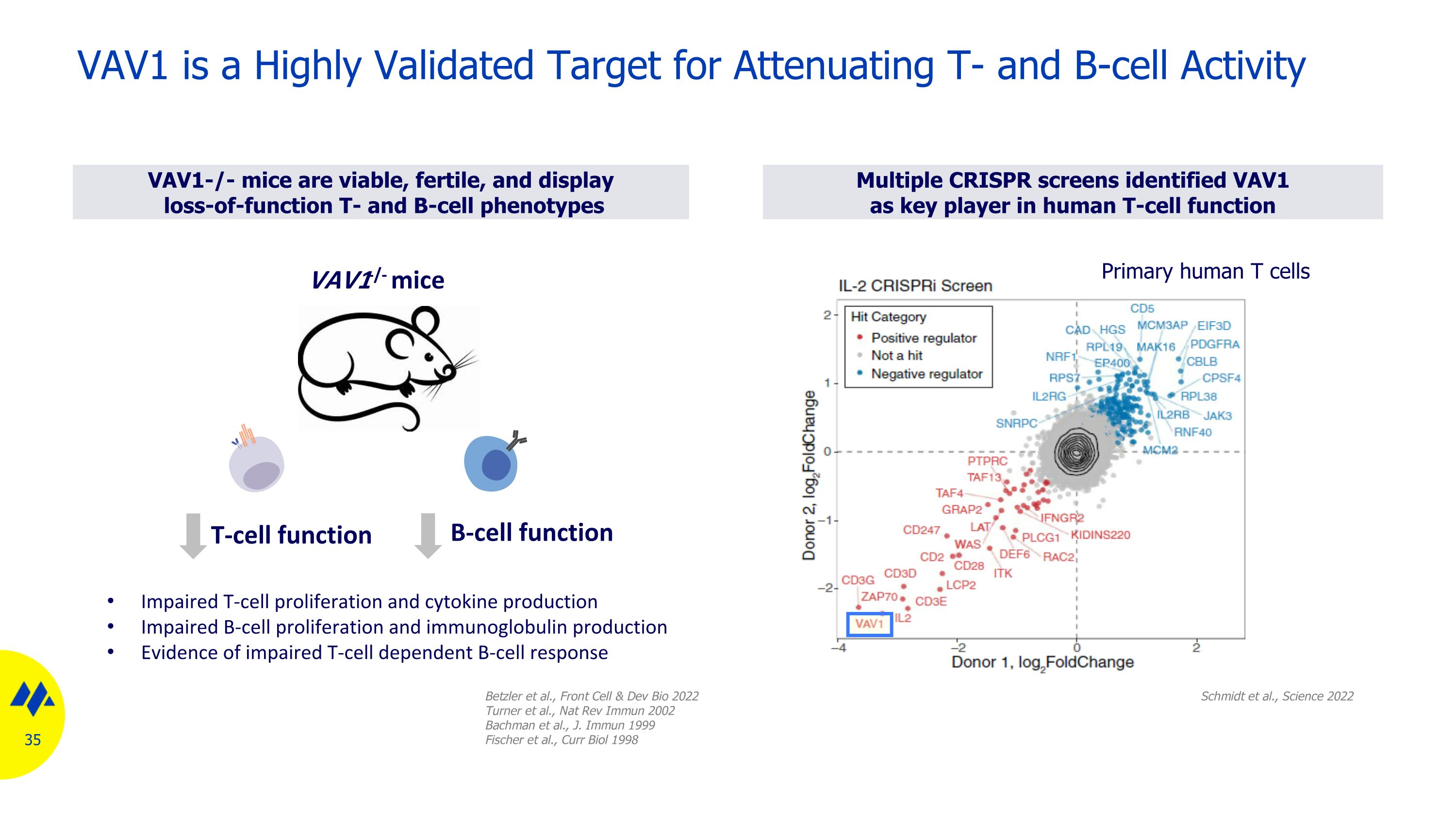 Slide 35