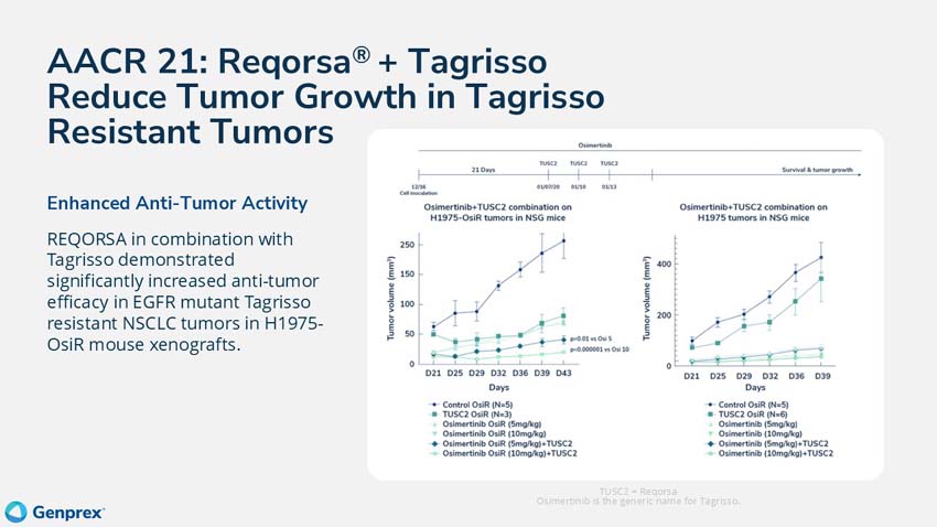 slide19.jpg