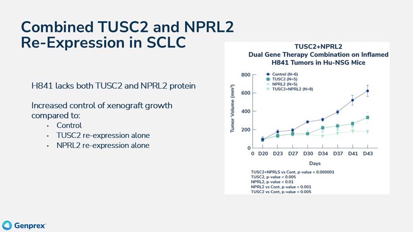slide33.jpg
