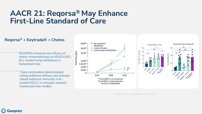 slide61.jpg