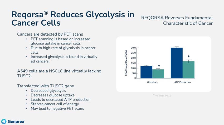 slide13.jpg