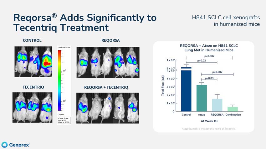 slide27.jpg