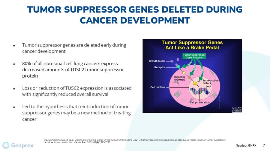 slide07.jpg