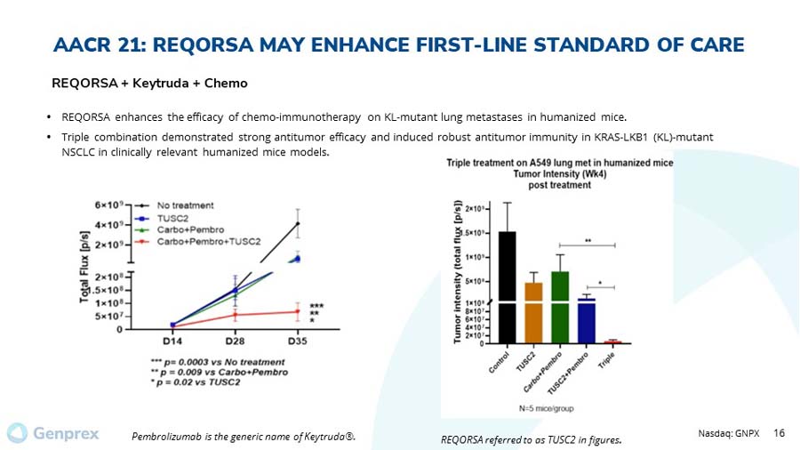 slide16.jpg