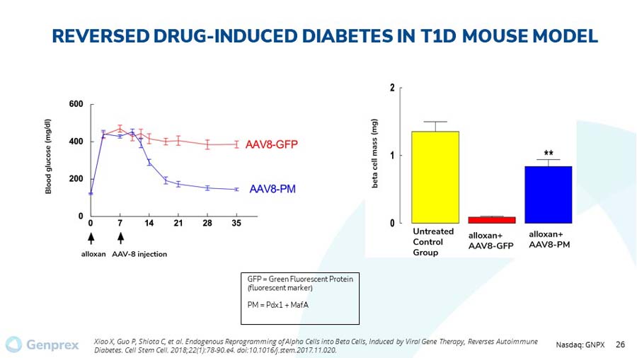 slide26.jpg