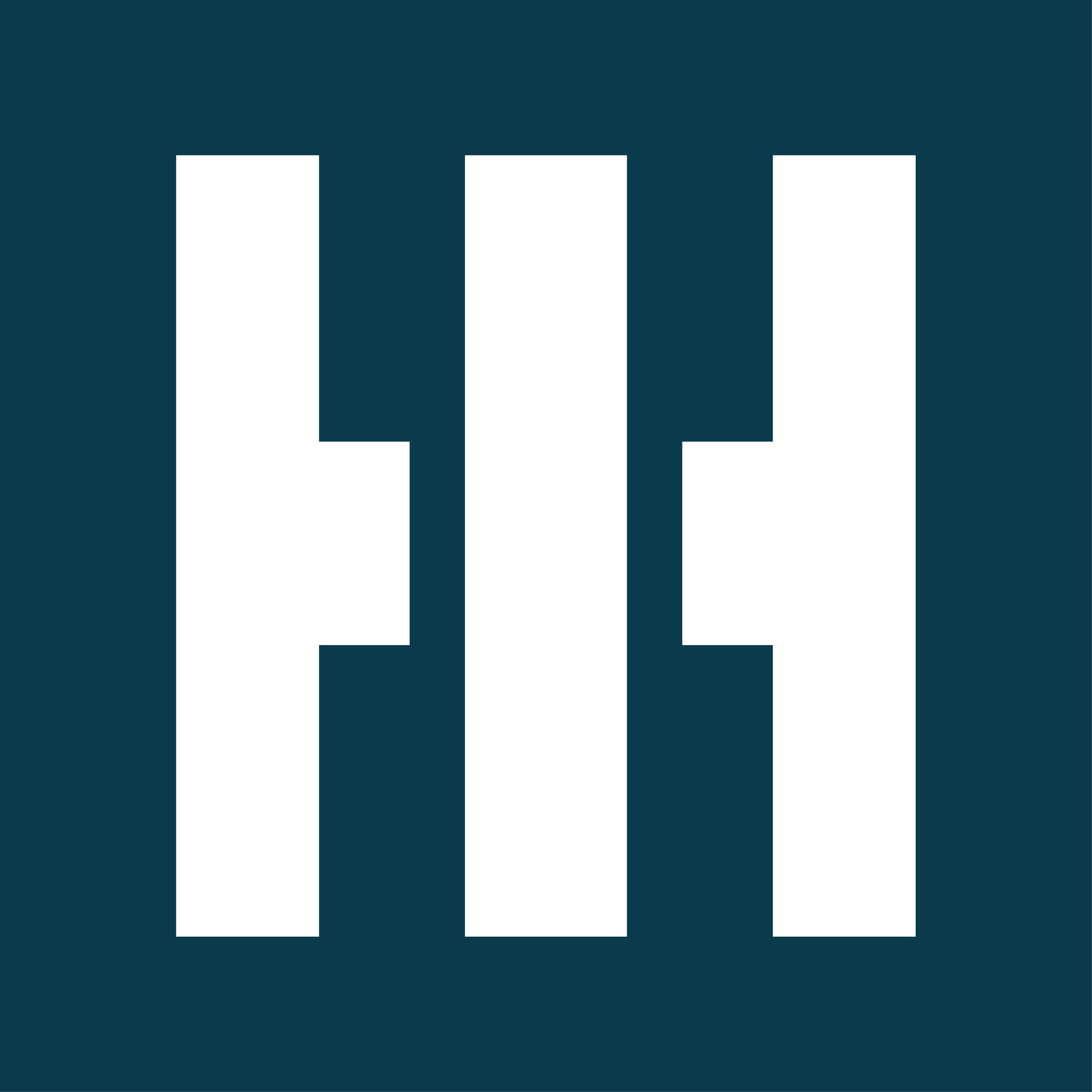 hii_logox2023xicona.jpg