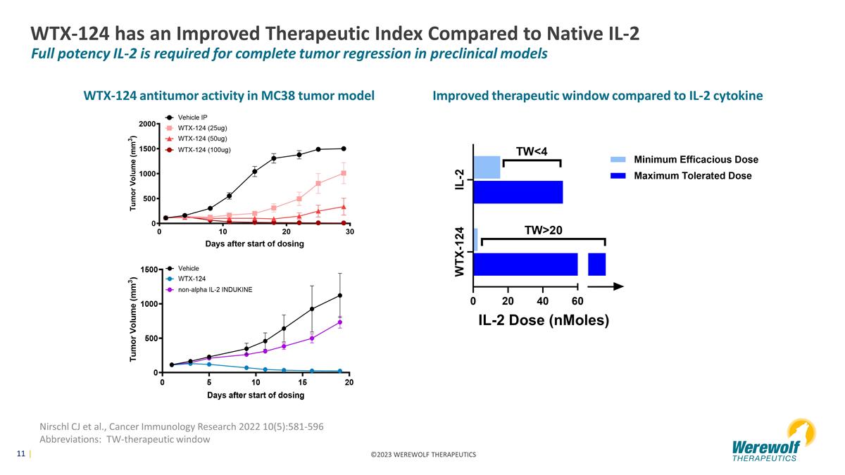 Slide 11