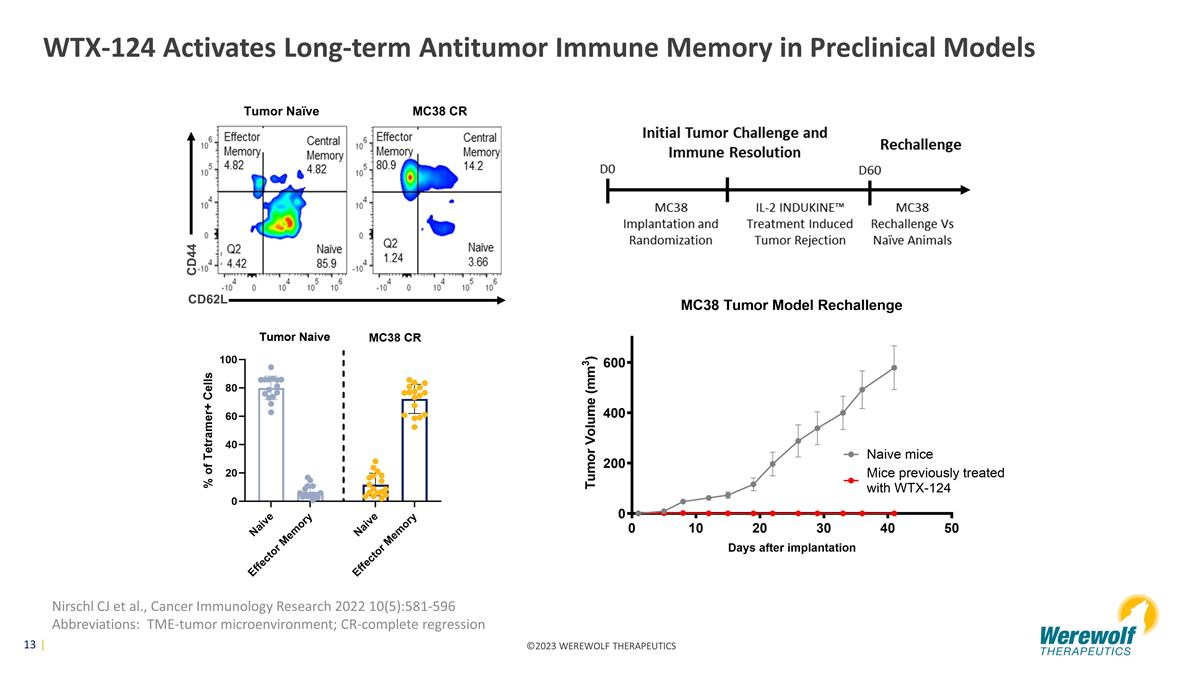 Slide 13