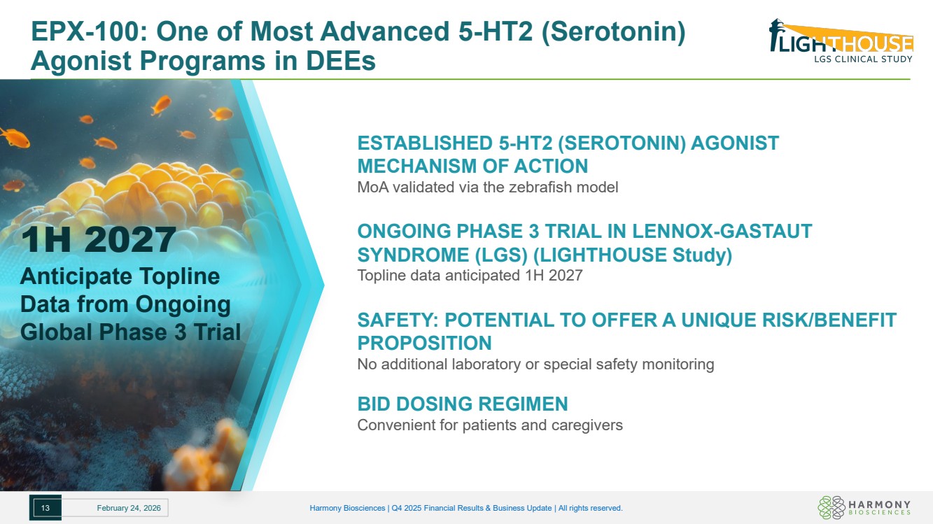 Slide 13 of 18