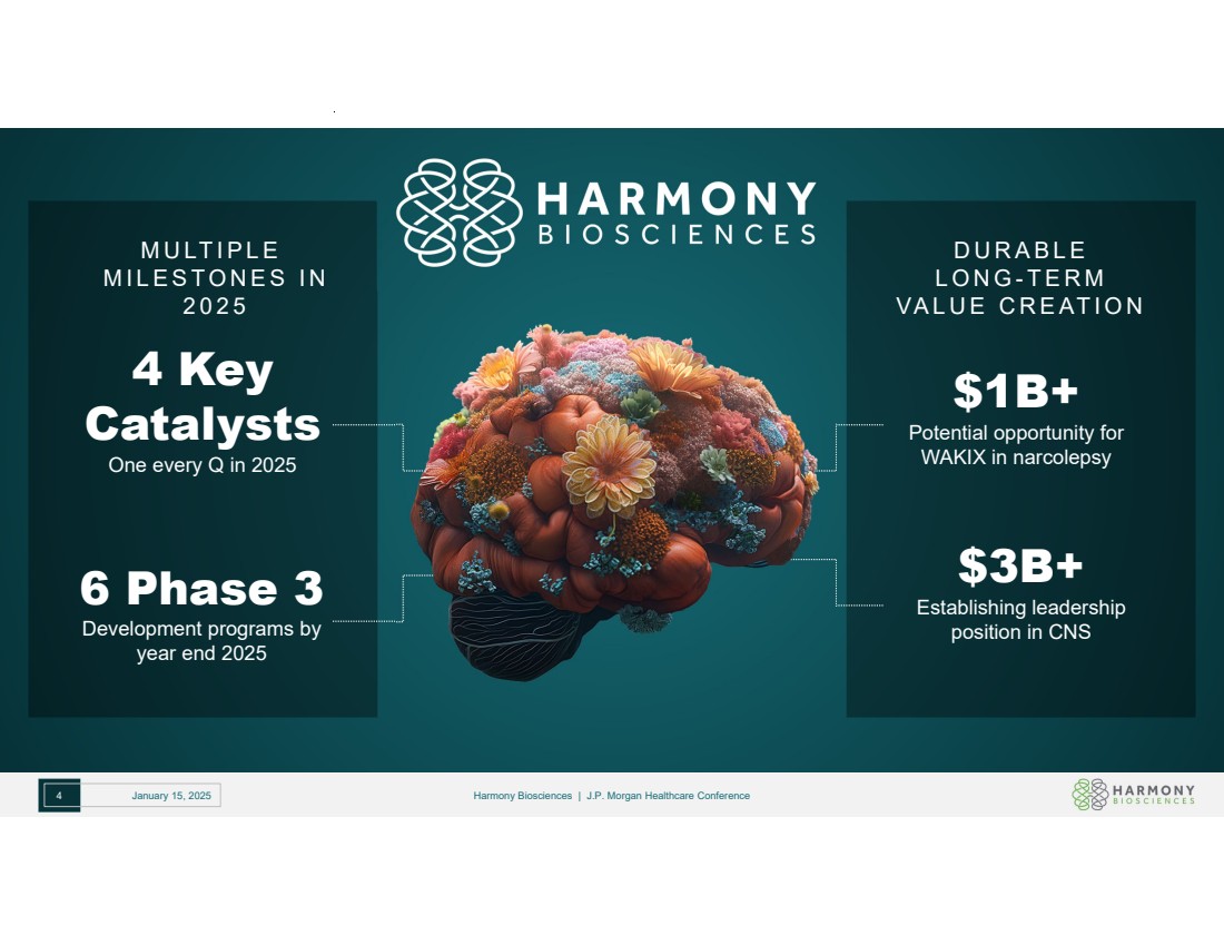 Slide 4 of 25