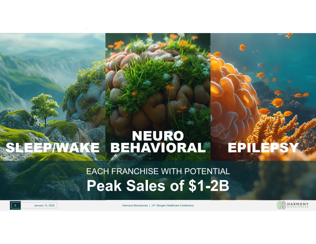Slide 5 of 25