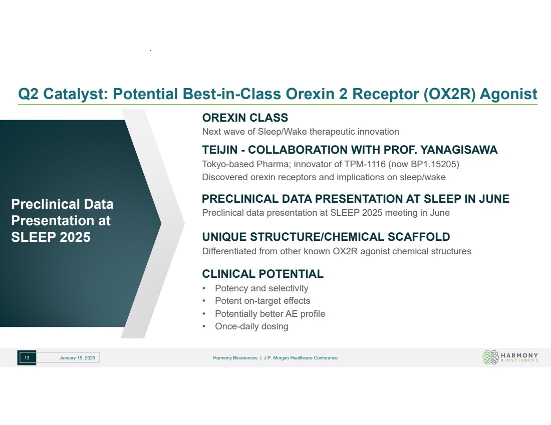 Slide 13 of 25