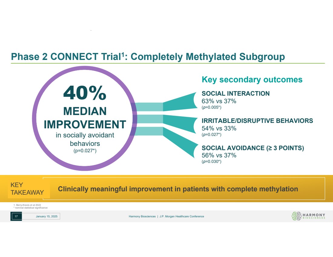 Slide 17 of 25