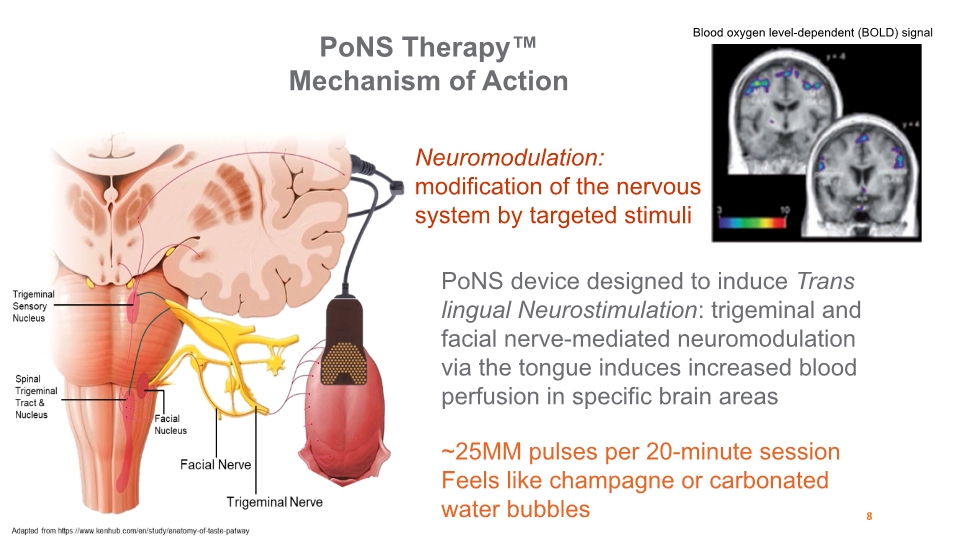 Slide 8