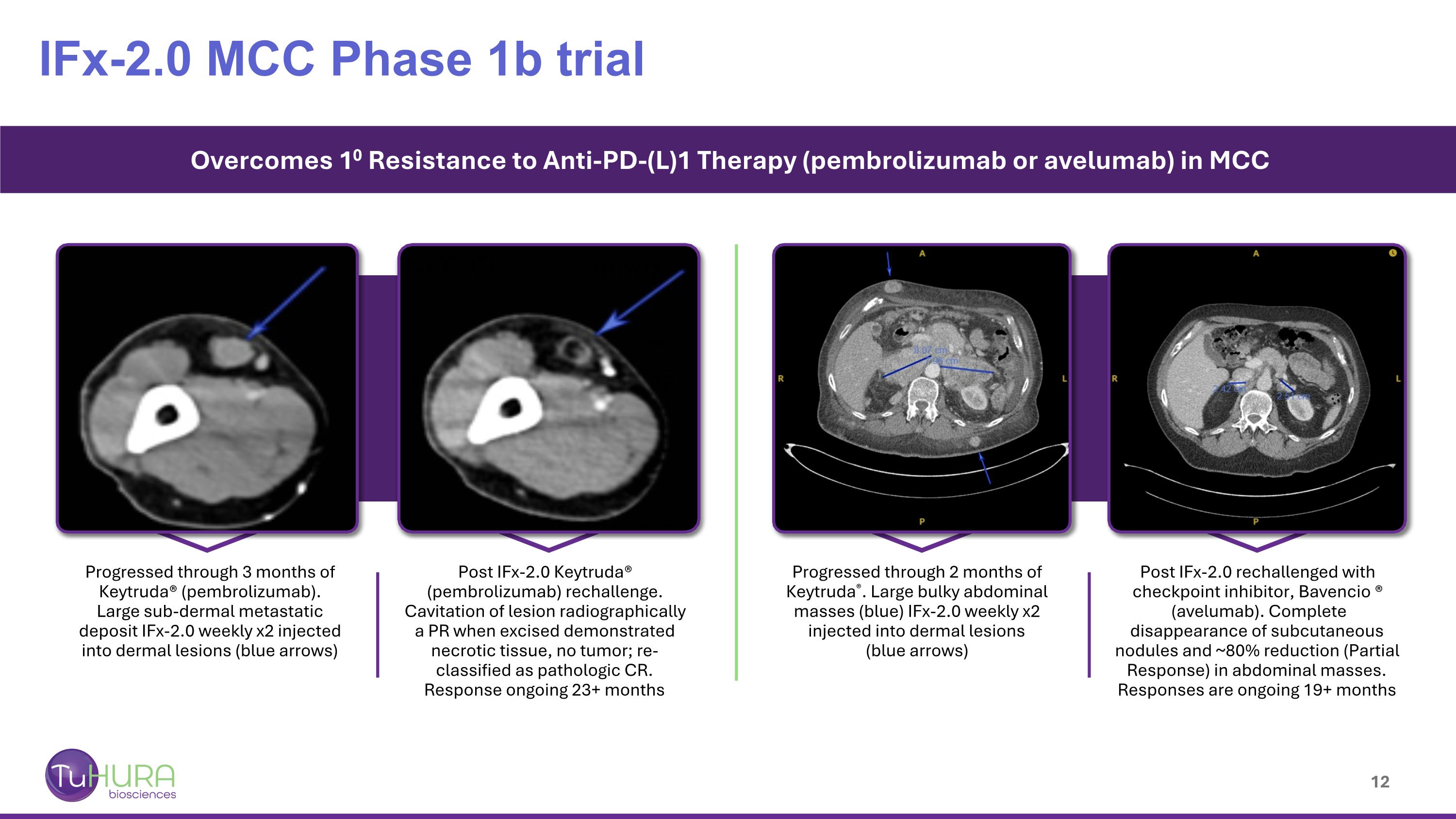 Slide 12